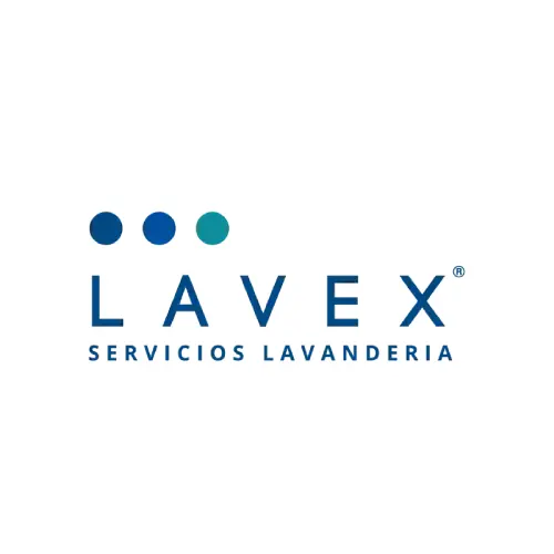 Logo_Lavex_-_color-500x500-1-opaco